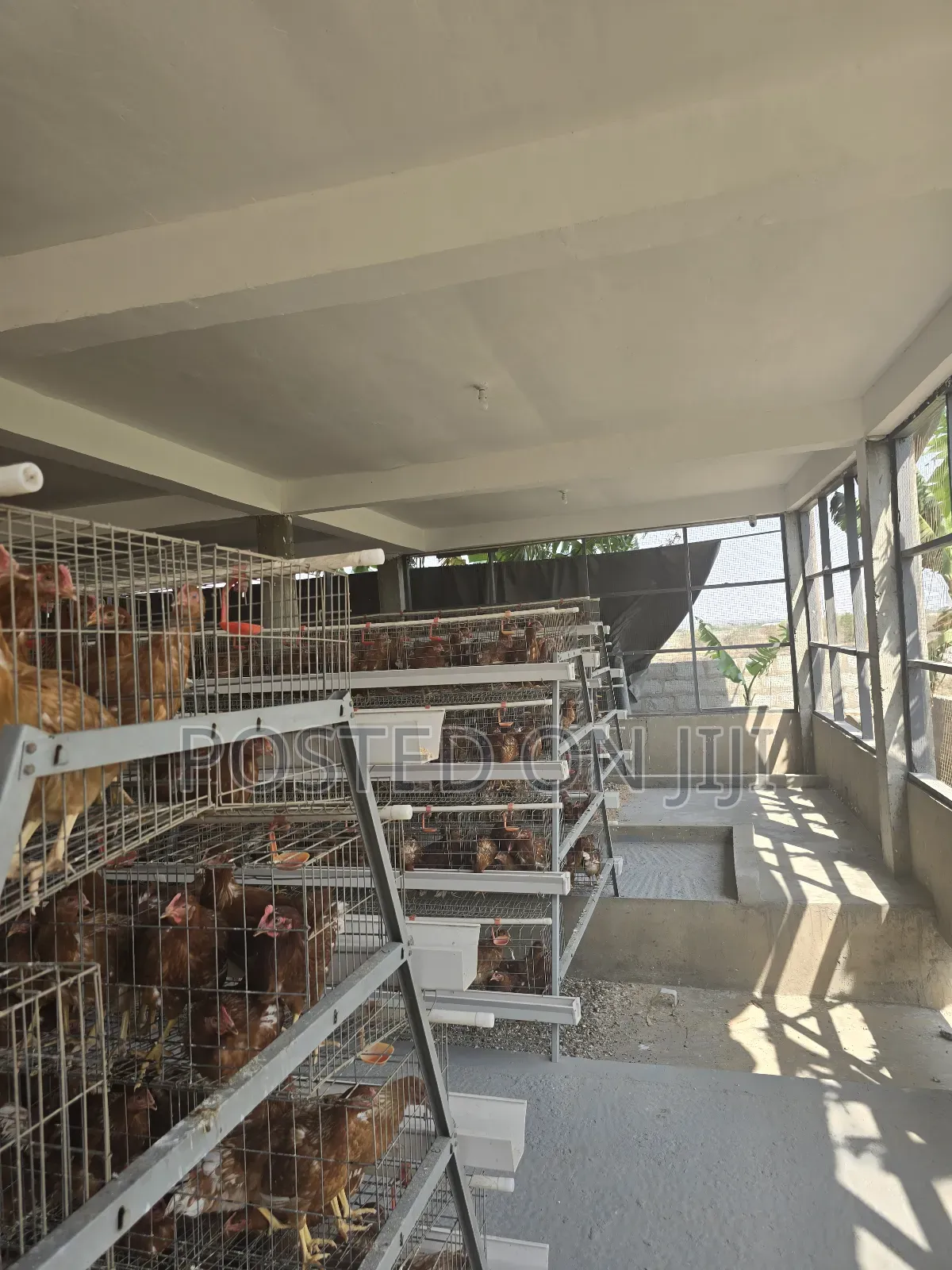 Battery Cage System