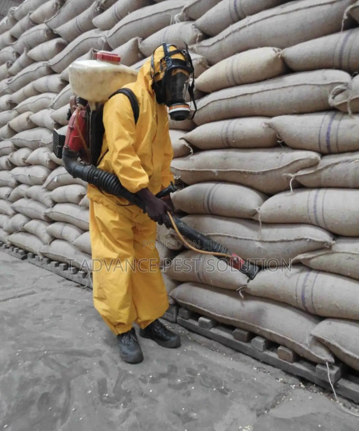 T Advance Pest Solution