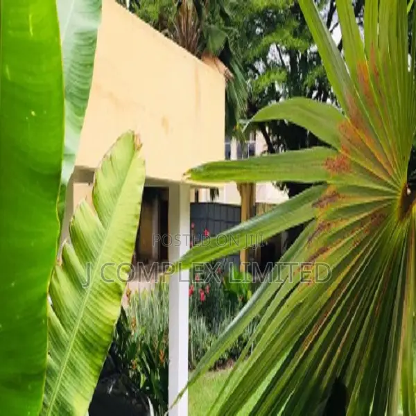 3bdrm House in Nyaniba Estate for rent