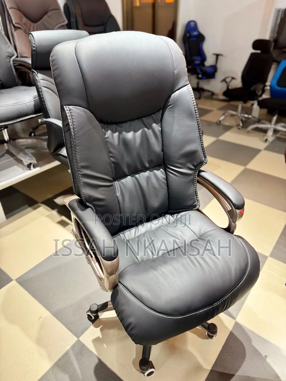 Luxurious Executive Office Chair