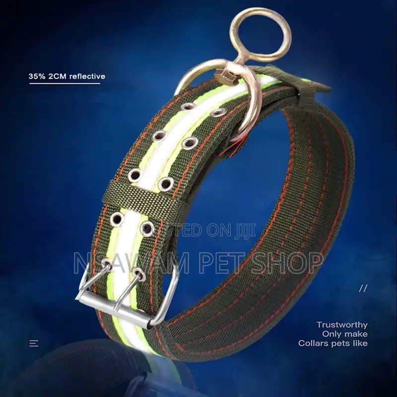 Heavy Duty Nylon Collar With Reflective Strip