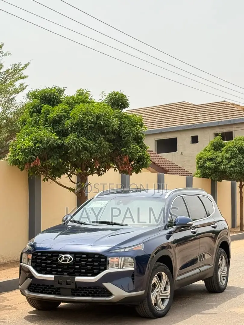 Hyundai Santa Fe 2023 Blue