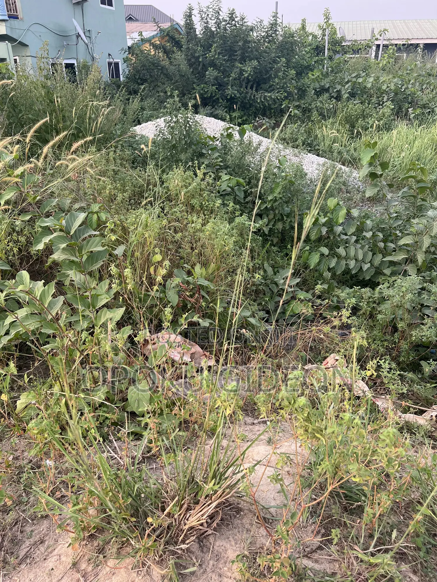 1 Plot of Land for Sale
