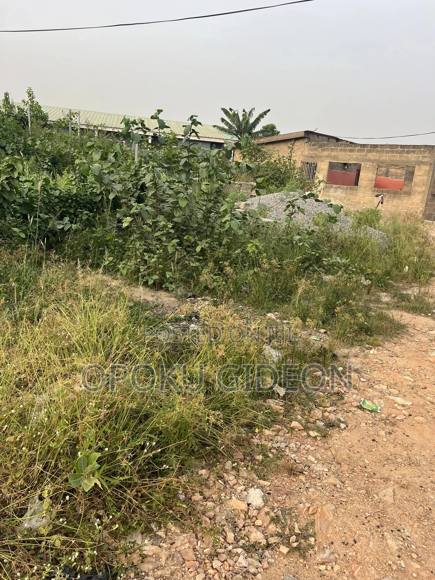 1 Plot of Land for Sale