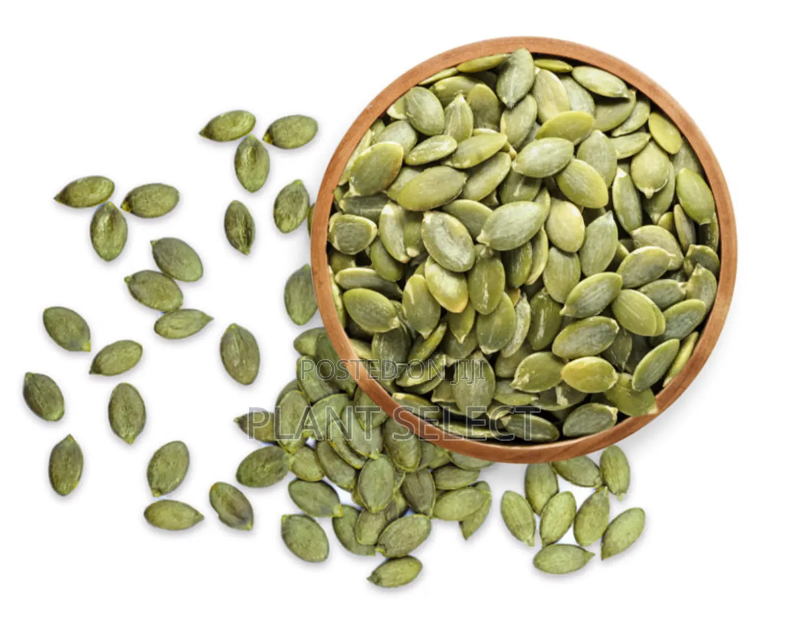 Organic Pumpkin Seeds (350 Grams)