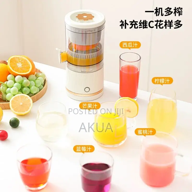 Mini Juicer