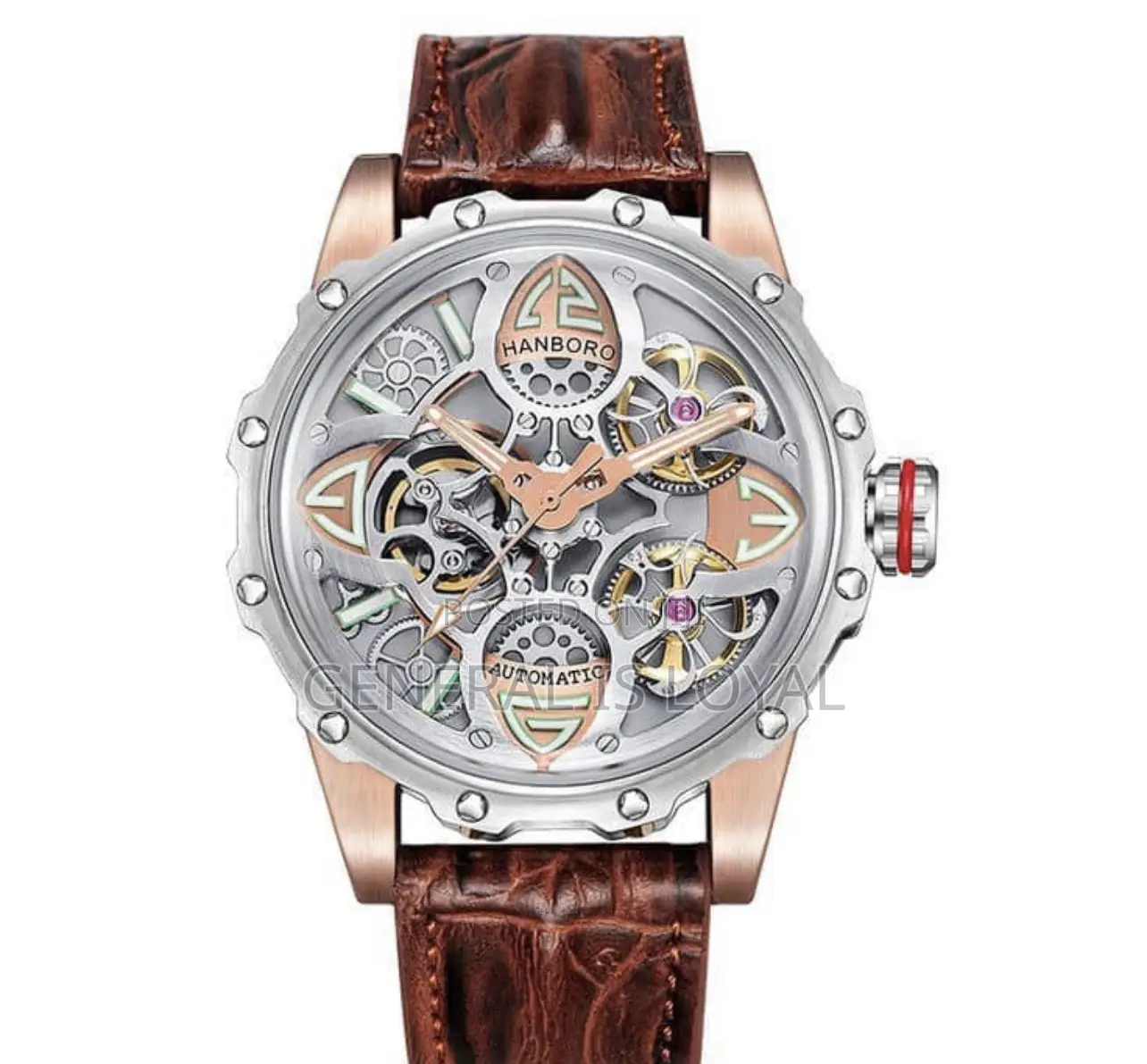 Hanboro Men's Automatic Skeleton Mechanical Watch
