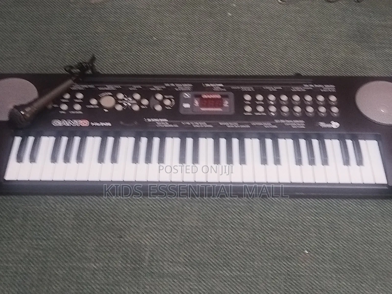 54 Keys Electronic Keyboard or Piano for Learning