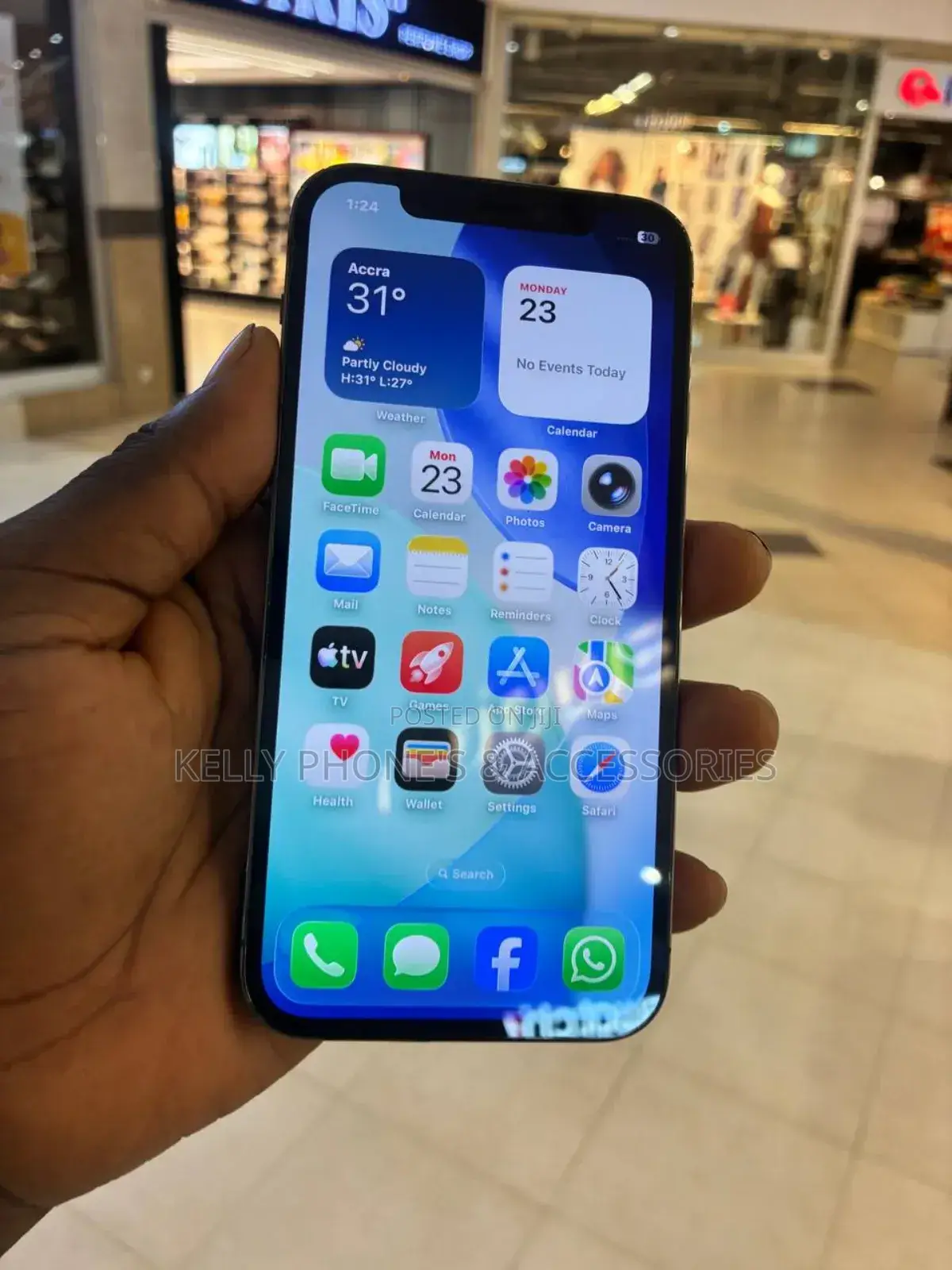 Apple iPhone 15 Pro Max 256 GB Silver