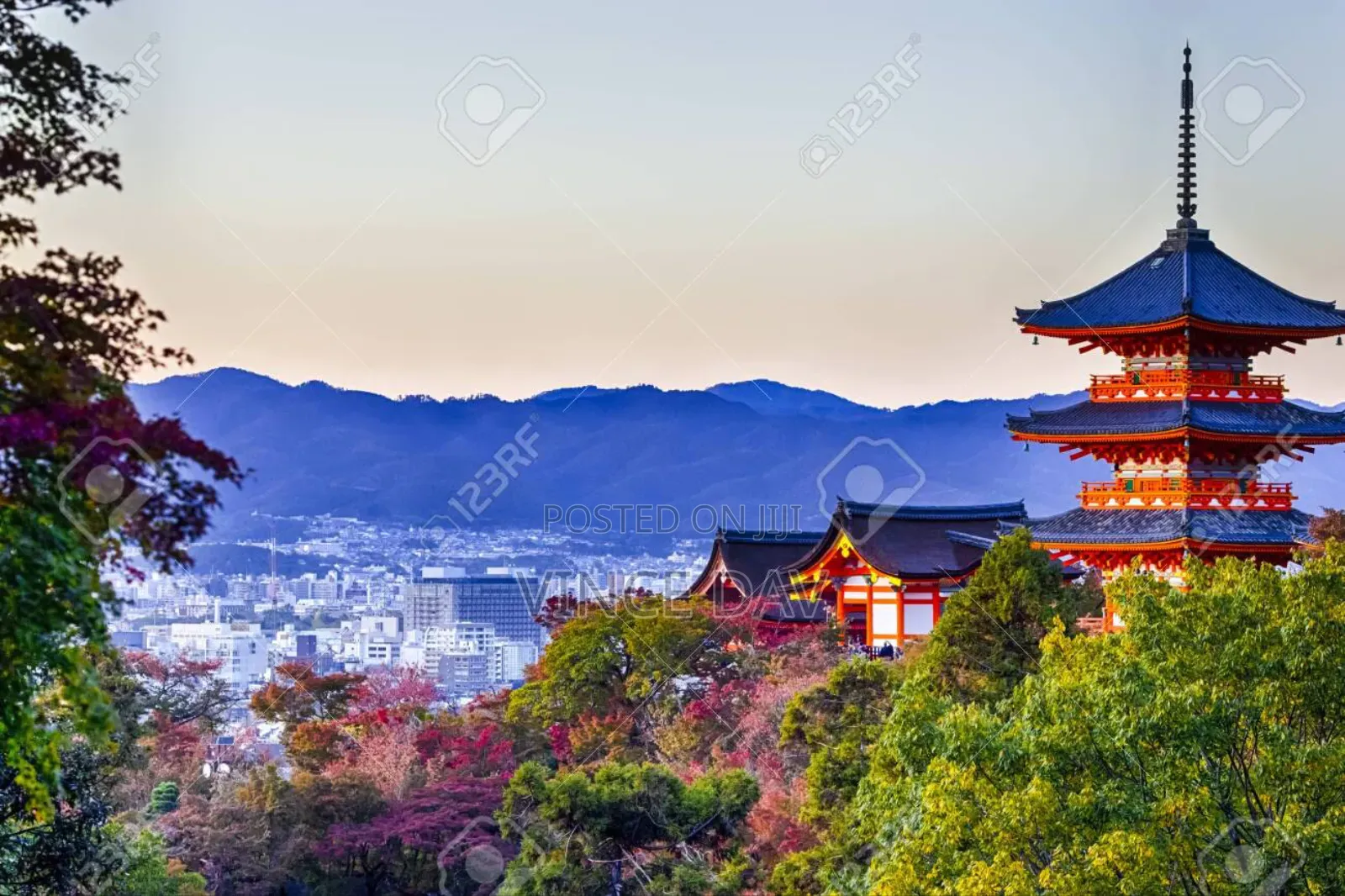 Study and Work in Japan With Scholarships