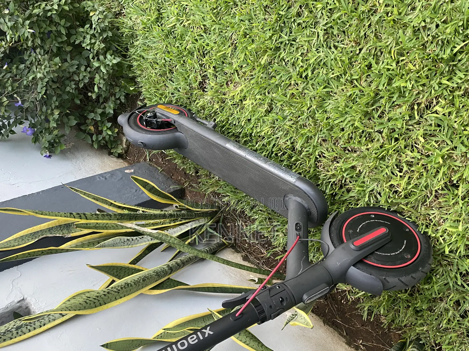 Eletric Scooter