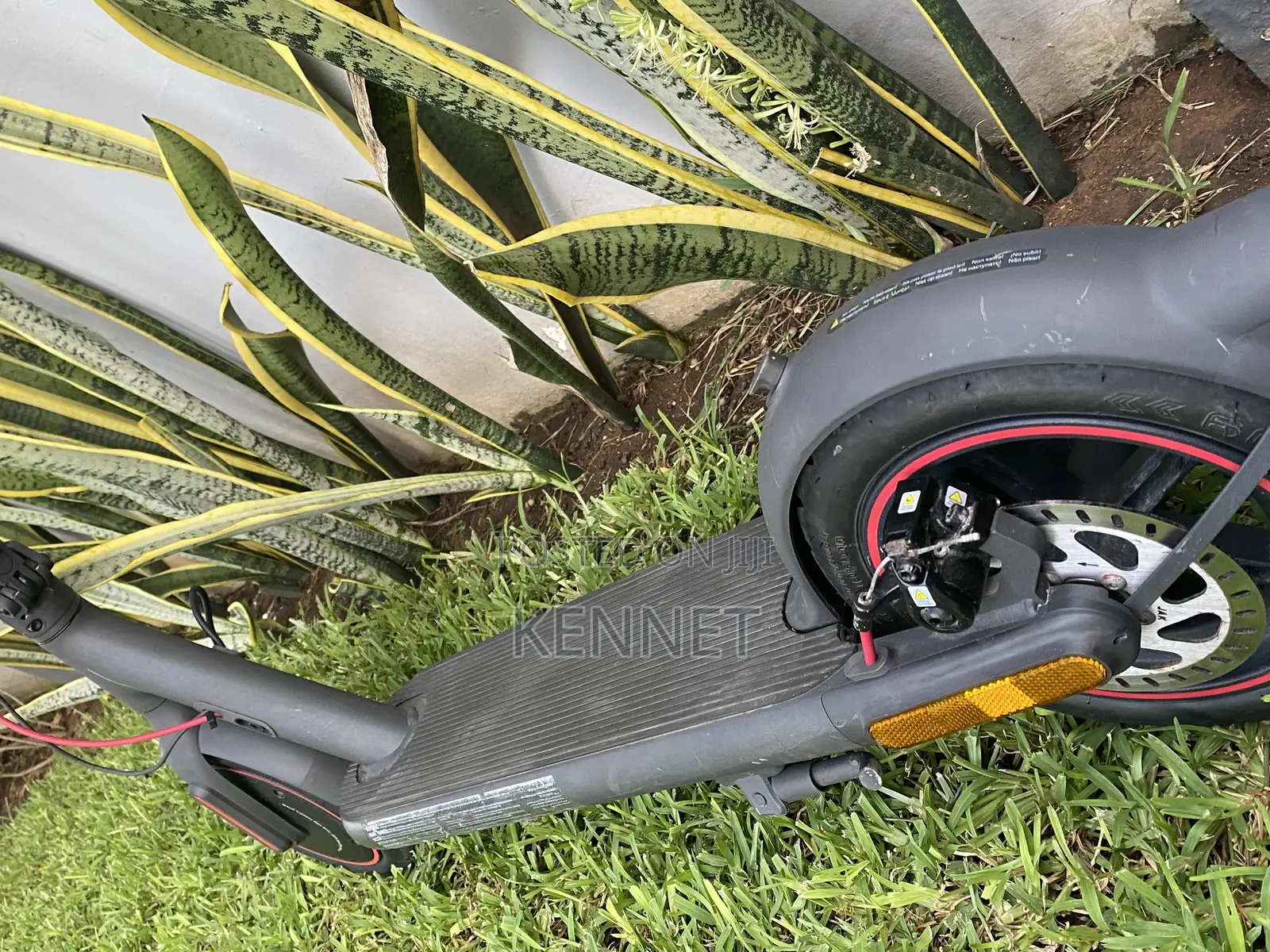 Eletric Scooter