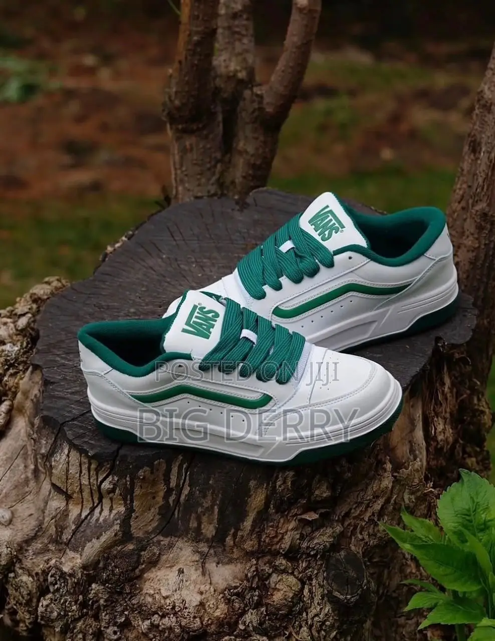 Vans Hylane Sneakers