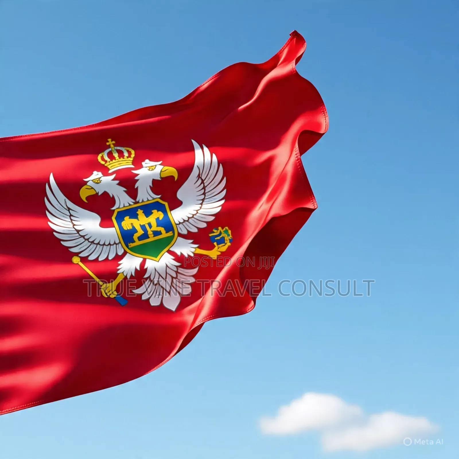 Montenegro Visa