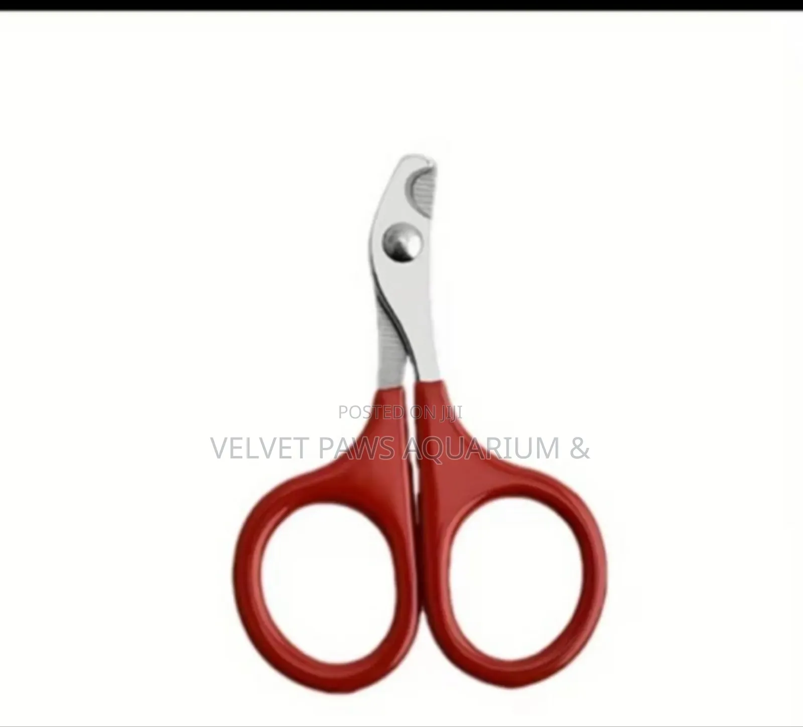 Nail Cutter