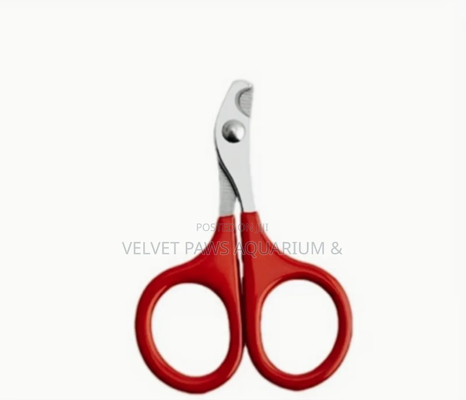 Nail Cutter