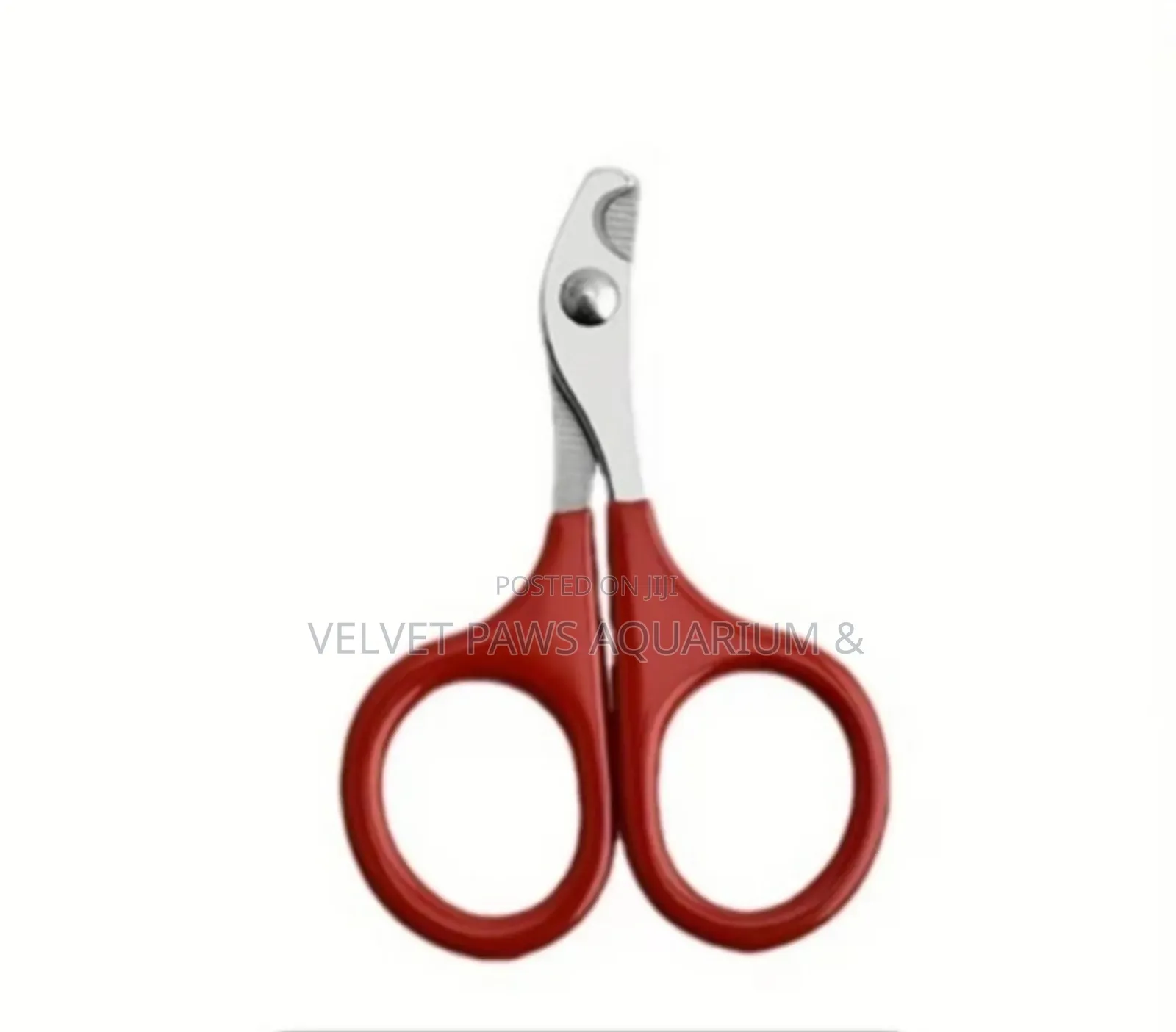Nail Cutter