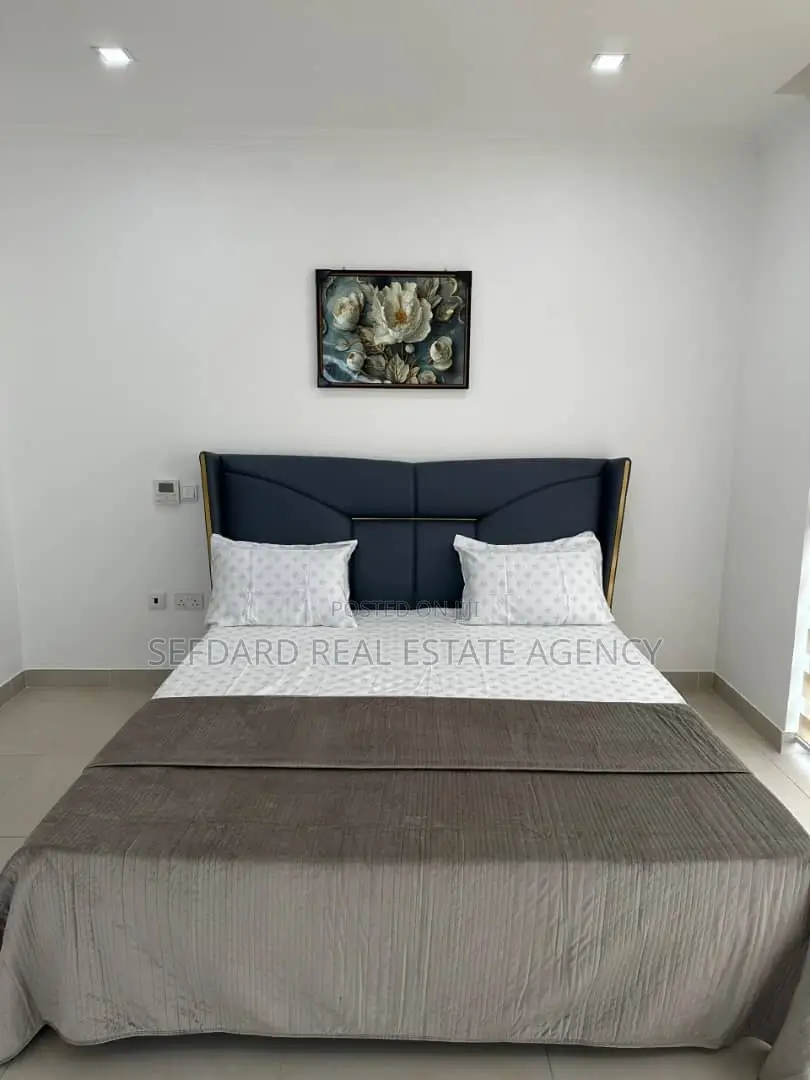 Furnished 2bdrm Apartment in Cantonments for rent