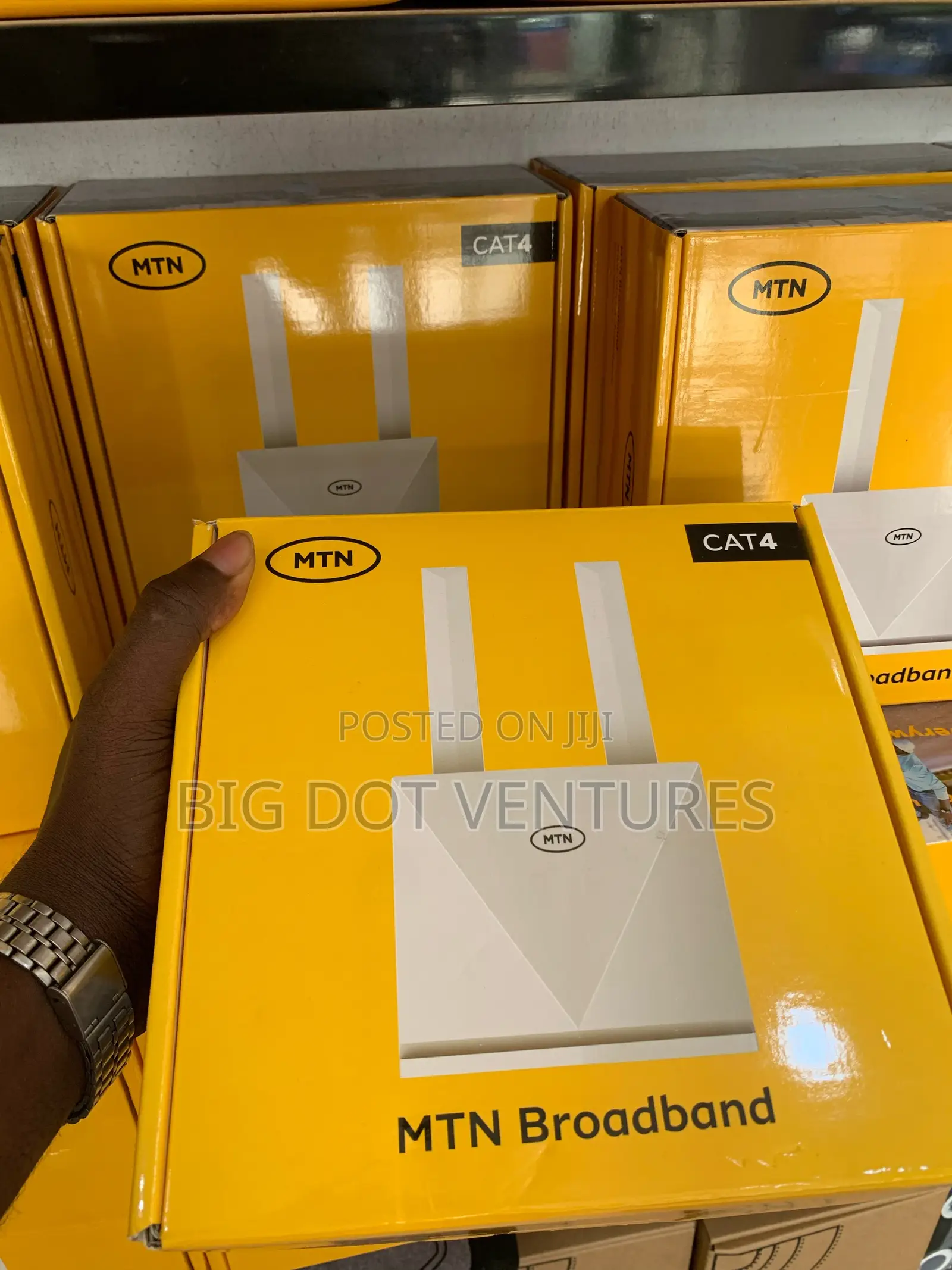 Cat4 MTN Router