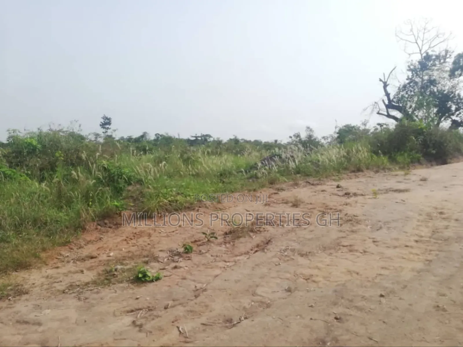Land 4sale Ejisu (Abira)
