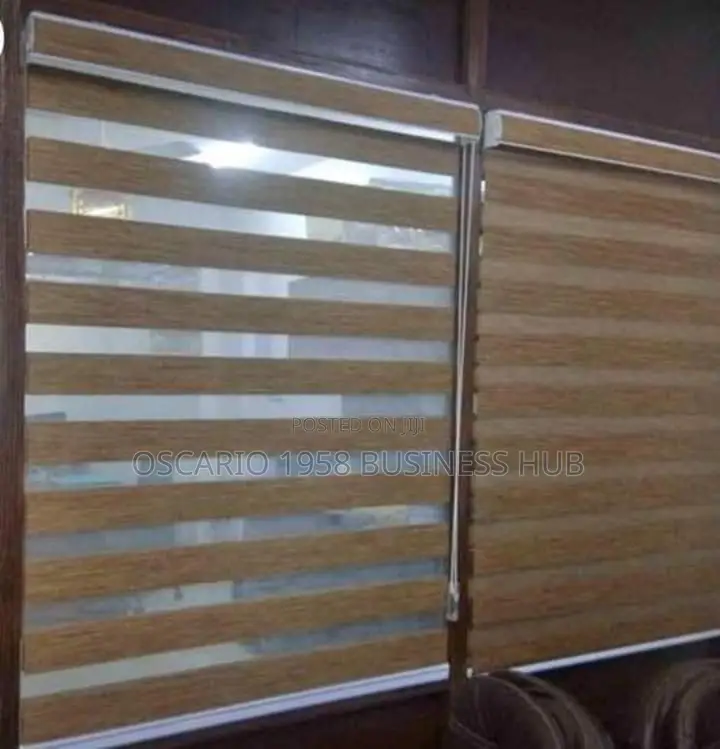 Cordless House Zebra Blinds 