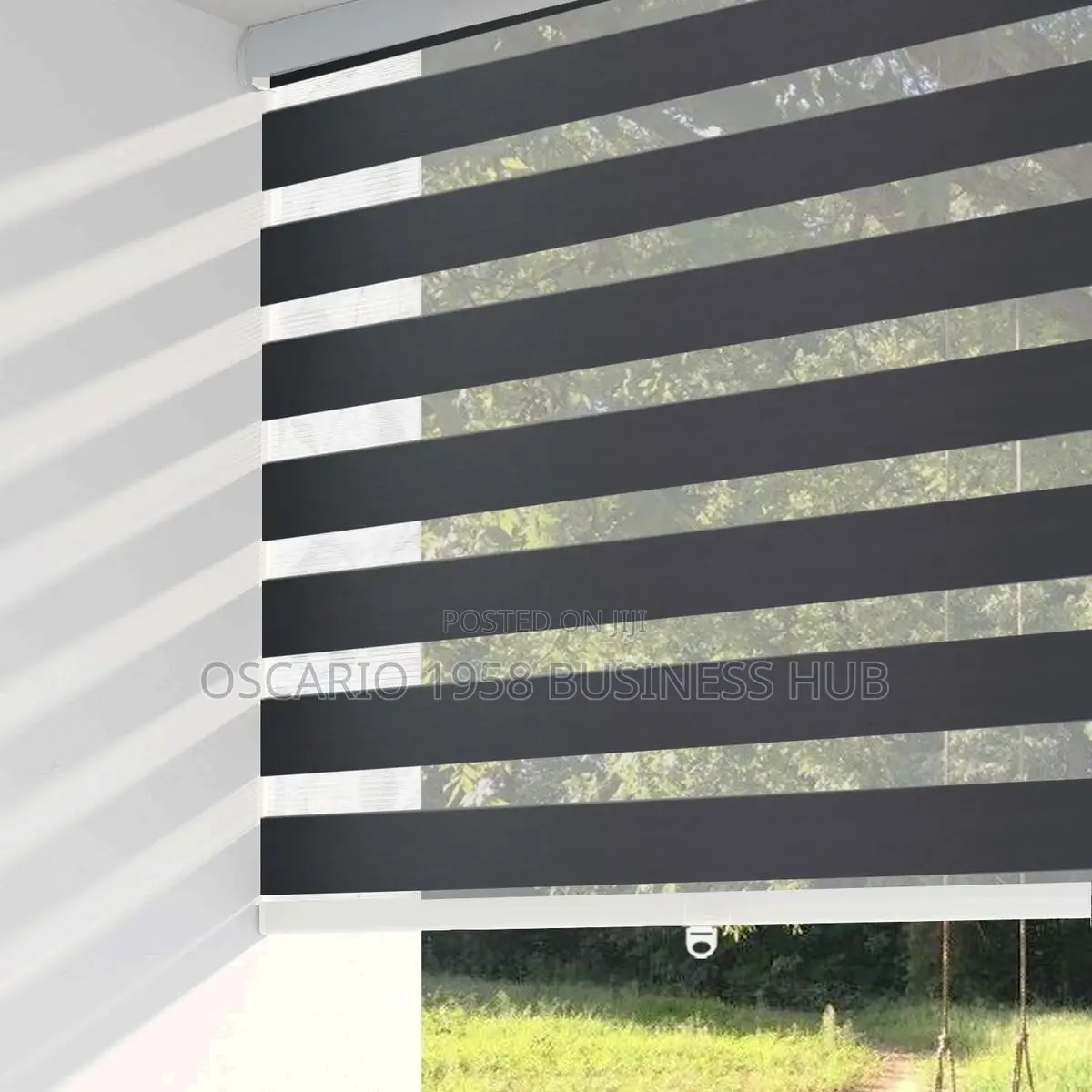 Pull Down Extraordinary Window Zebra Blinds 