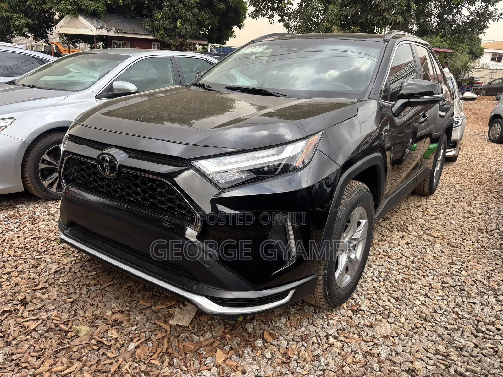 Toyota RAV4 XLE Premium 2022 Black