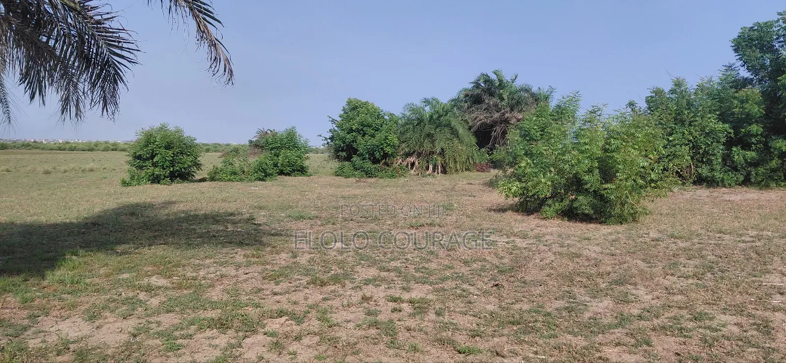 An Island Available for Investors Deal.