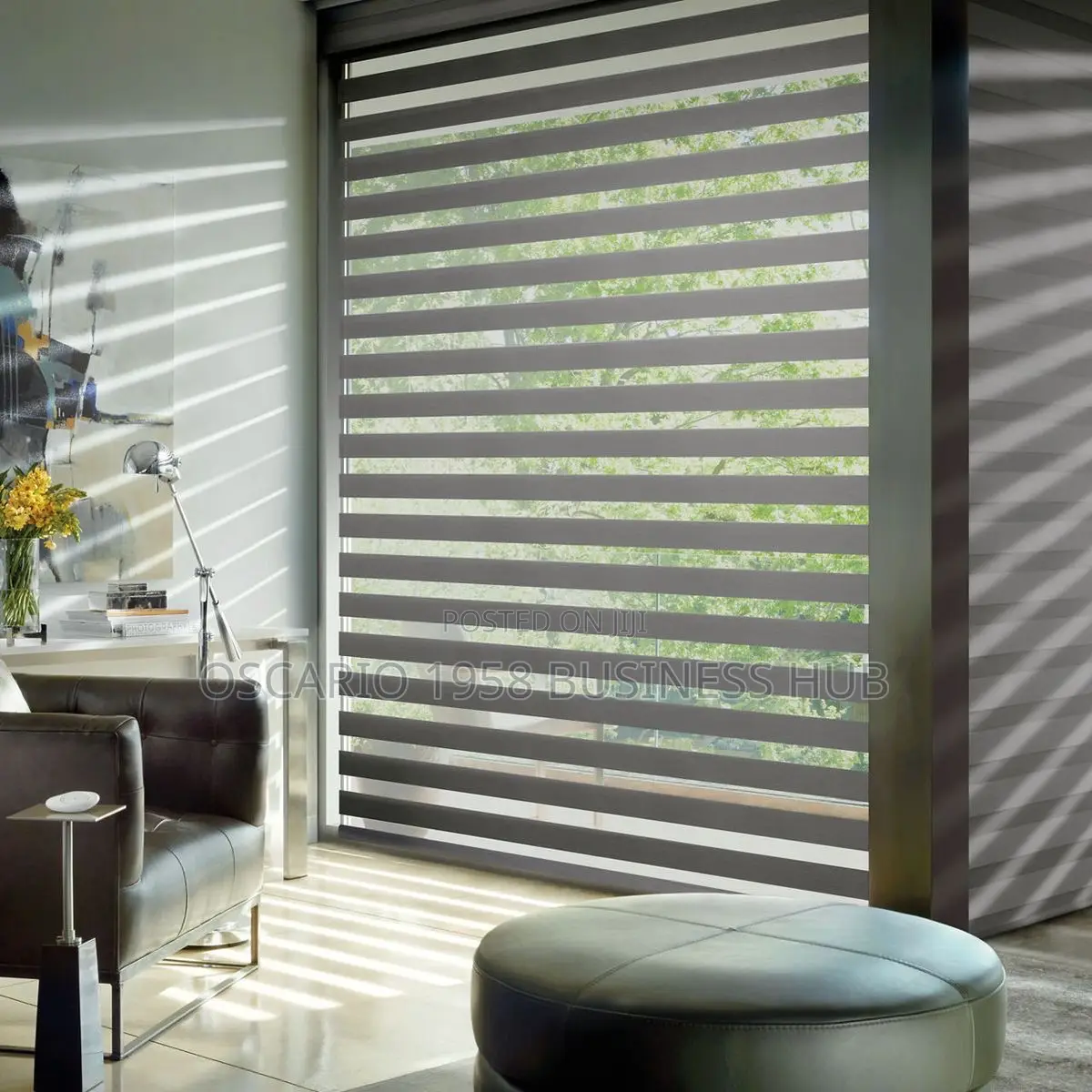 Cosimo Lovely Zebra Curtain Blinds 