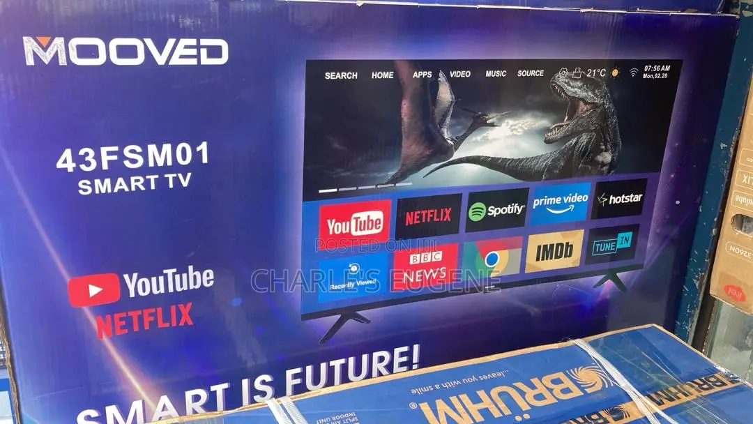 Television