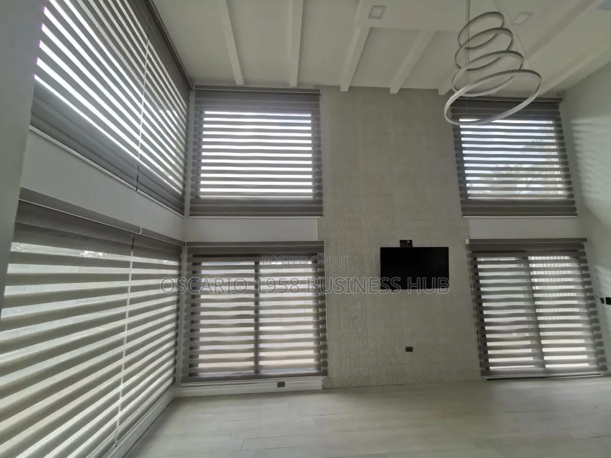 Lucky Star Zebra Window Design Curtain Blinds