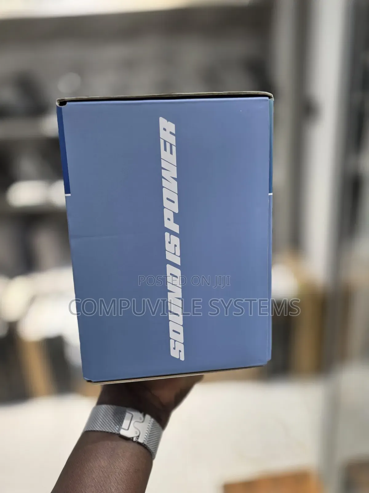 Bose Sound Link Max