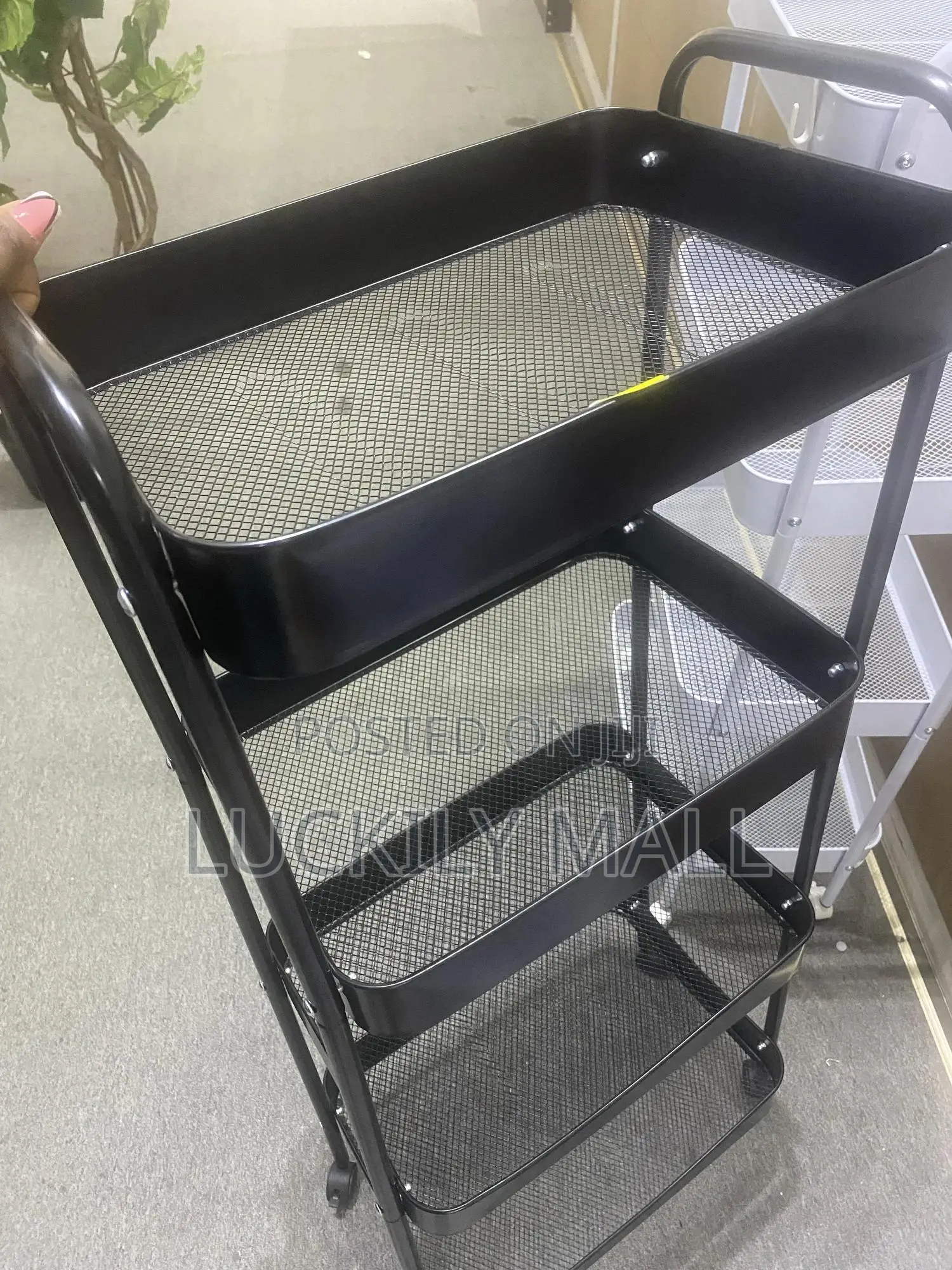 A Plastic Shelf