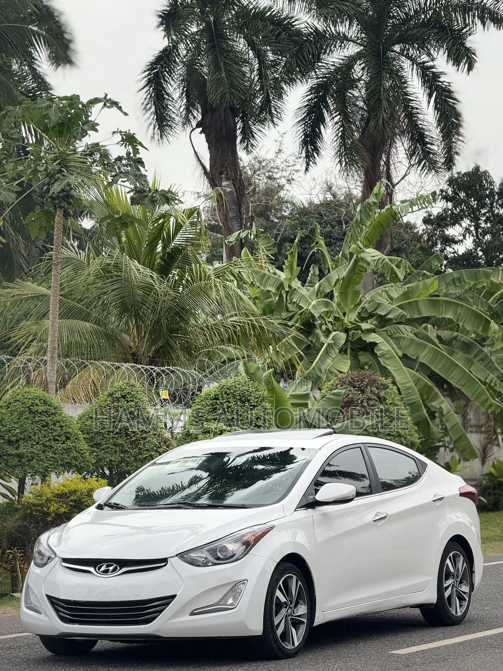 Hyundai Elantra Limited PZEV 4dr Sedan (1.8L 4cyl 6A) 2015 White