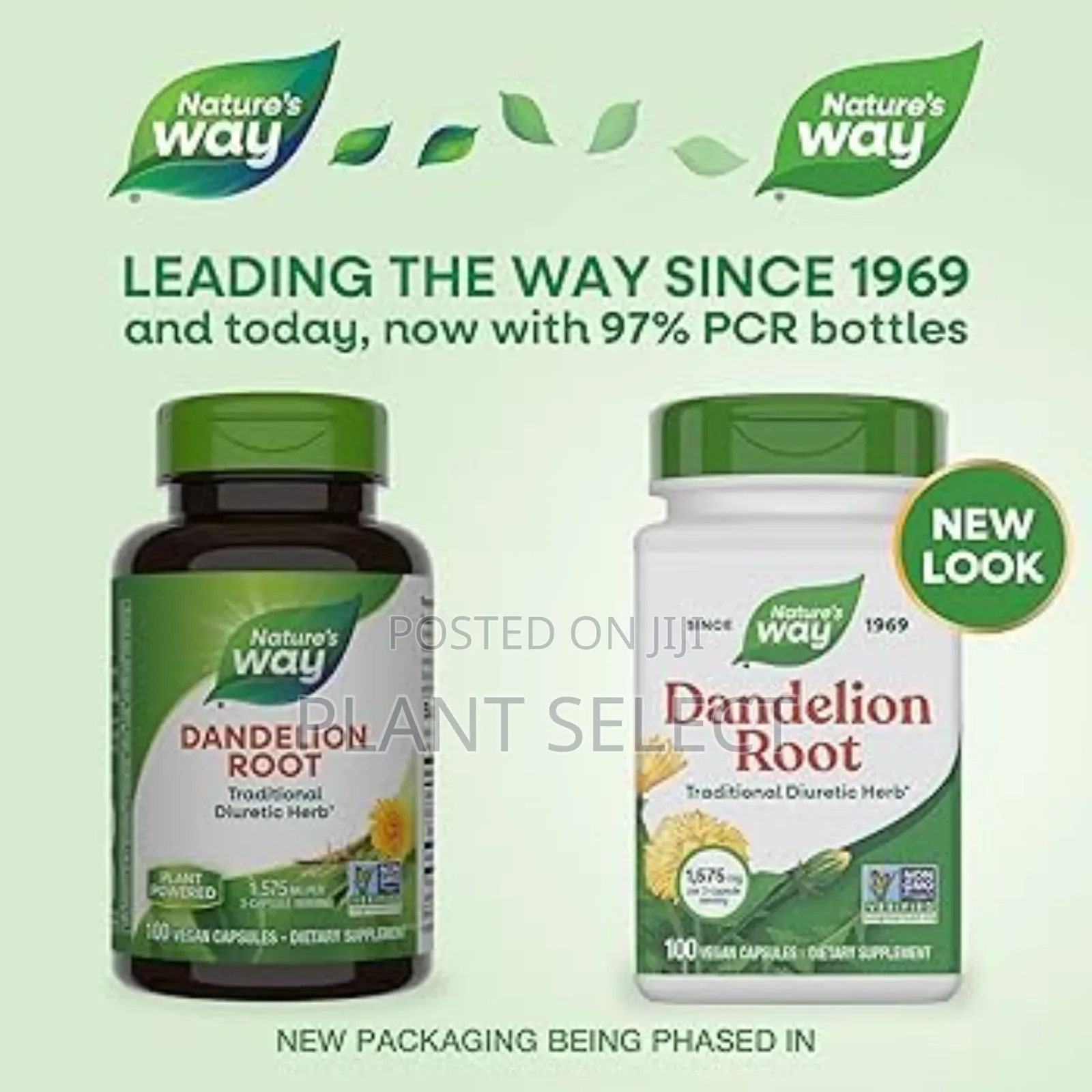 Dandelion Root (100) Capsules
