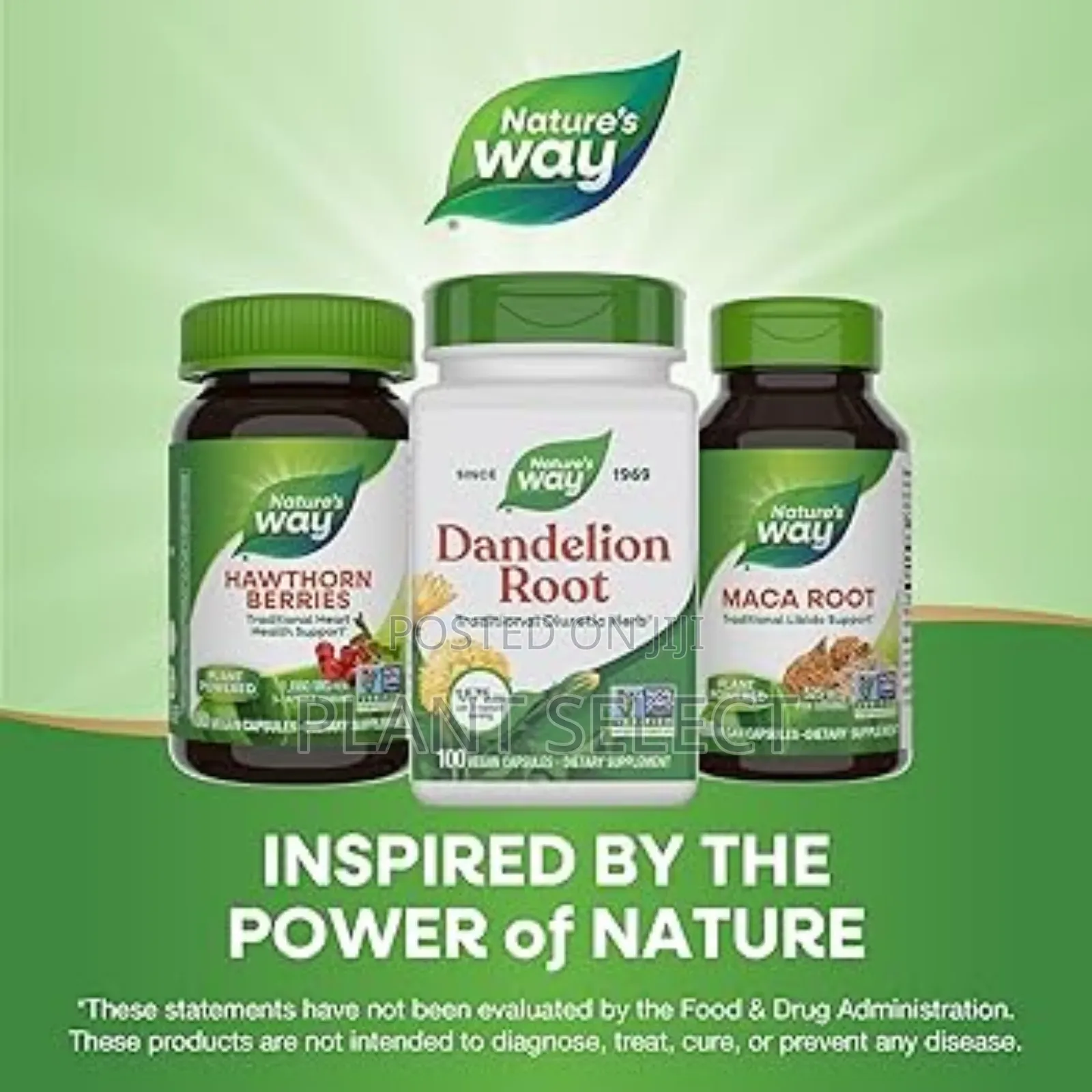 Dandelion Root (100) Capsules