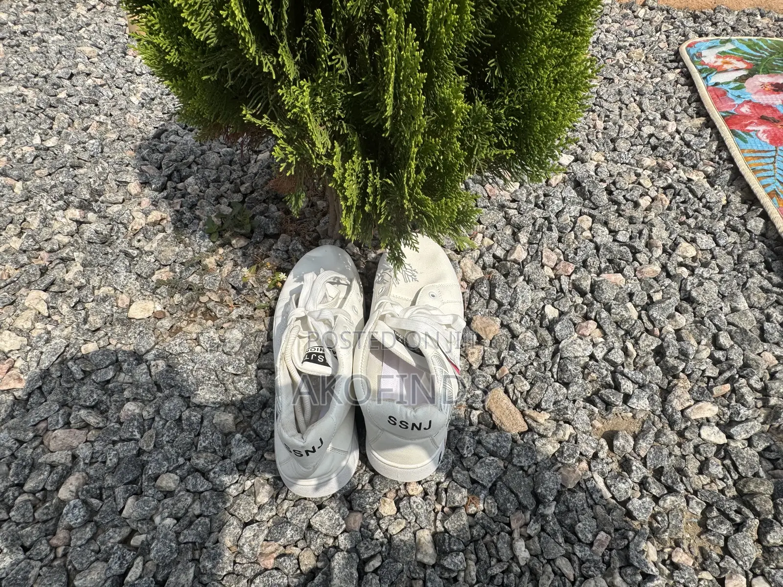 Fashion Shoe