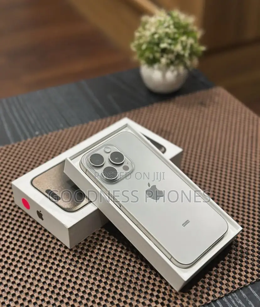 Apple iPhone 15 Pro Max 256 GB Silver