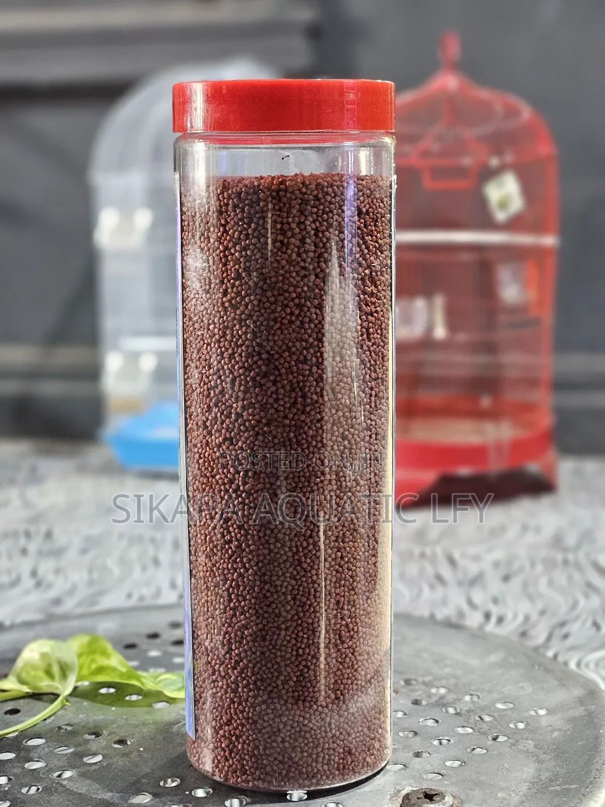 Aquarium Fish Food