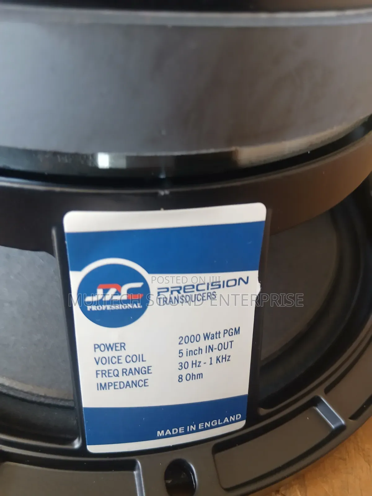 Single Magnet Naked Speaker 10 Inches