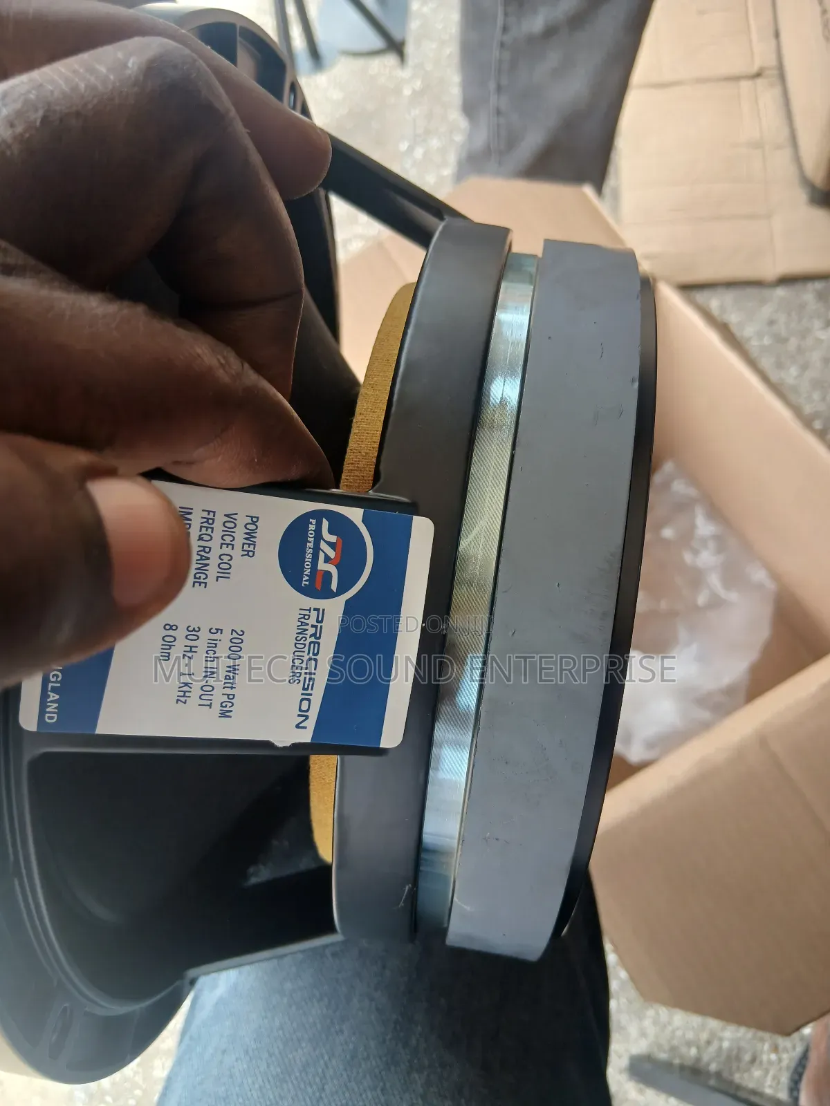 Single Magnet Naked Speaker 10 Inches