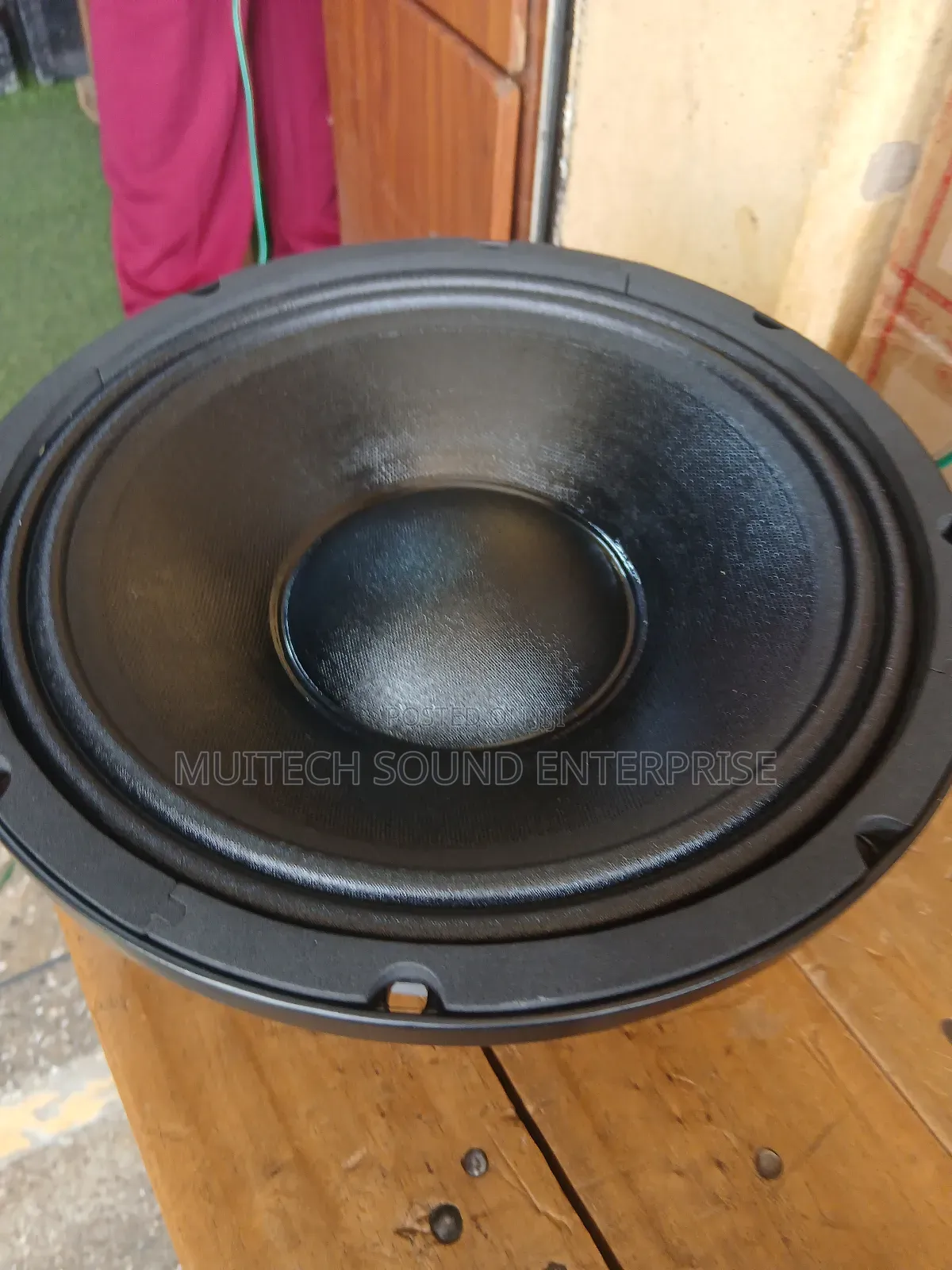Single Magnet Naked Speaker 10 Inches