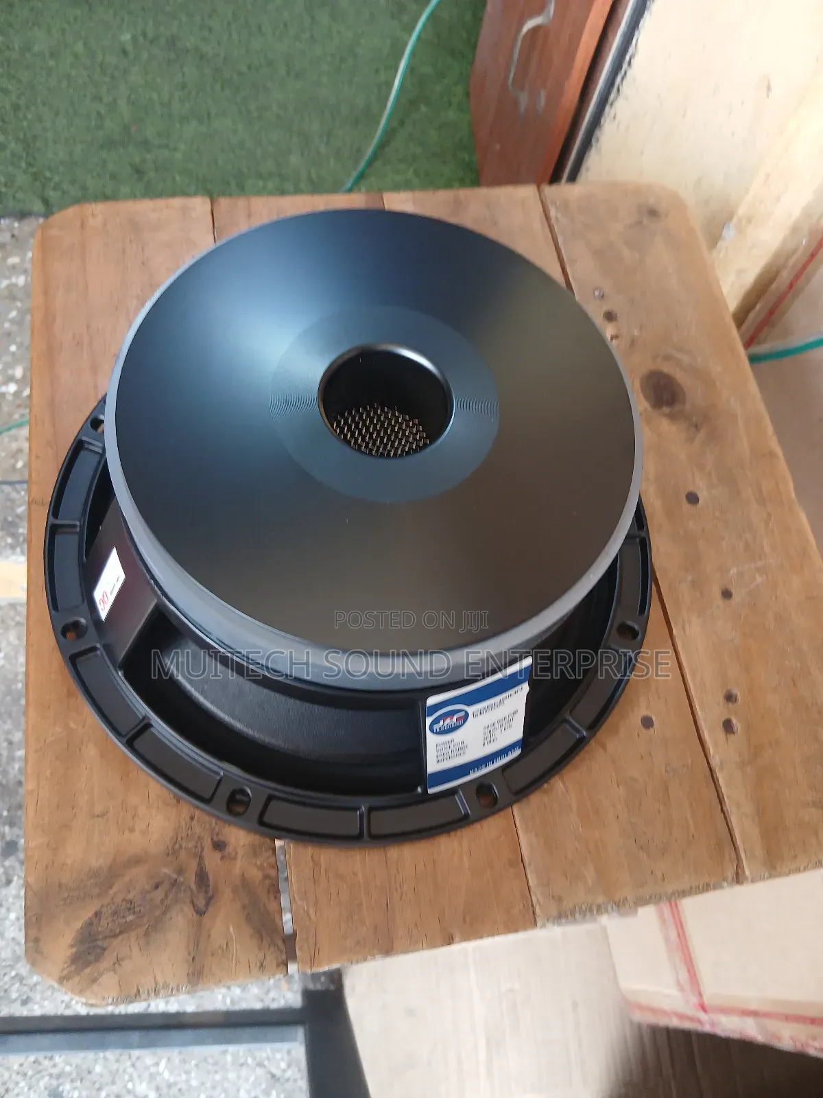 Single Magnet Naked Speaker 10 Inches