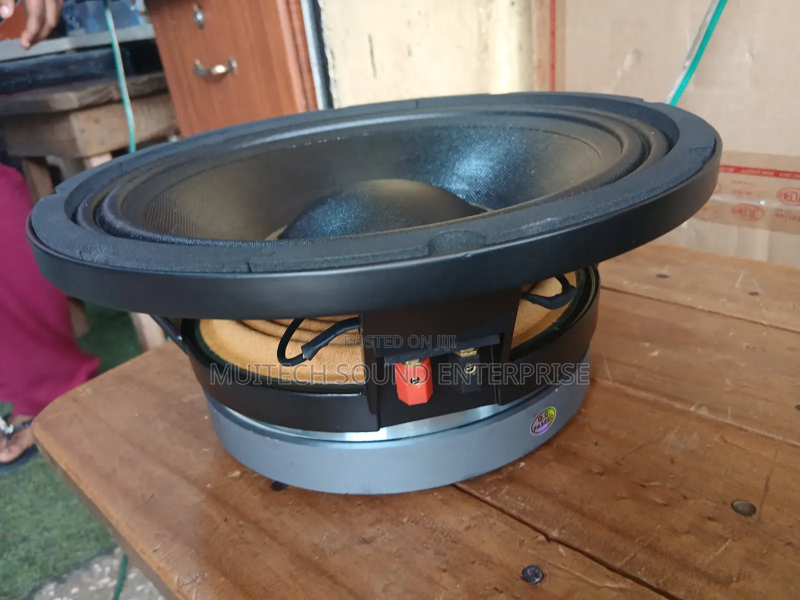 Single Magnet Naked Speaker 10 Inches