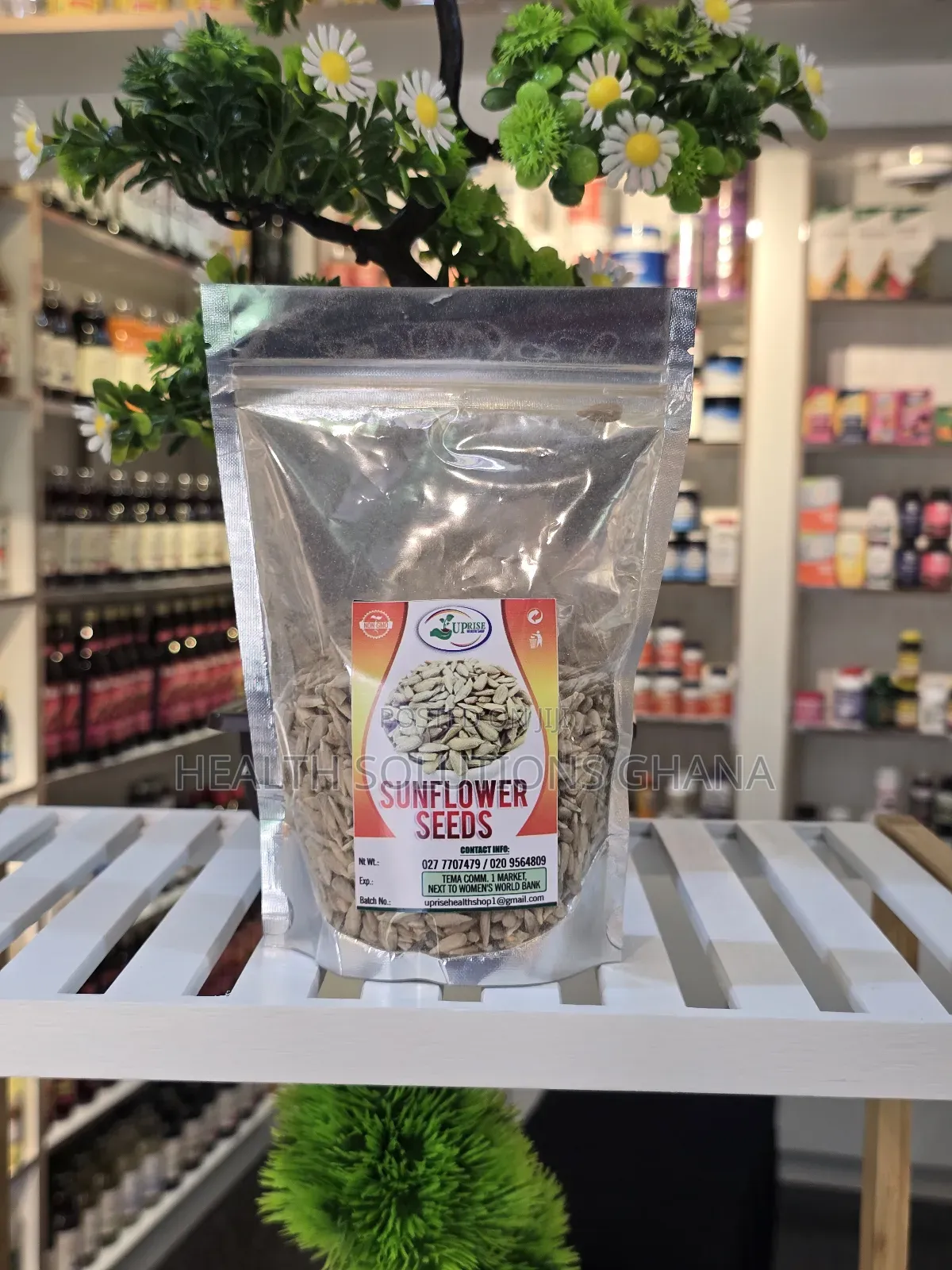Organic Sunflower Seeds
