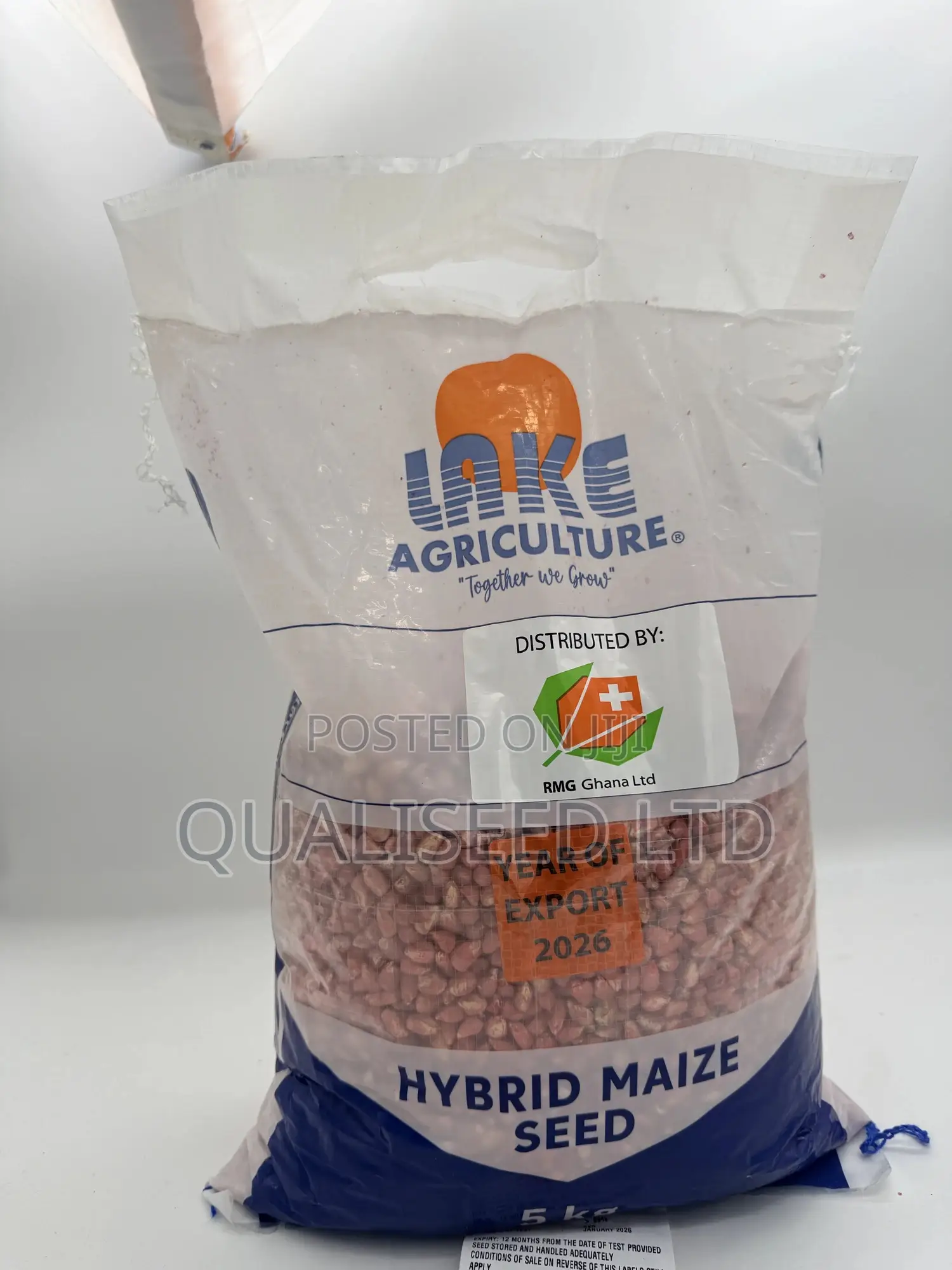 Hybrid Maize Lake 601