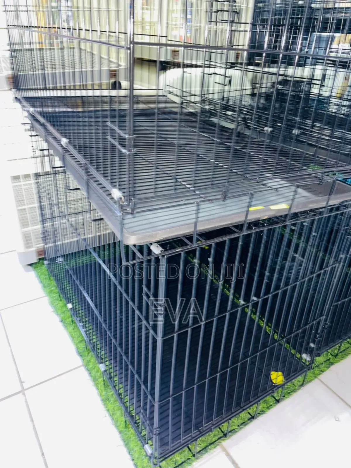 Big Dog Cage G