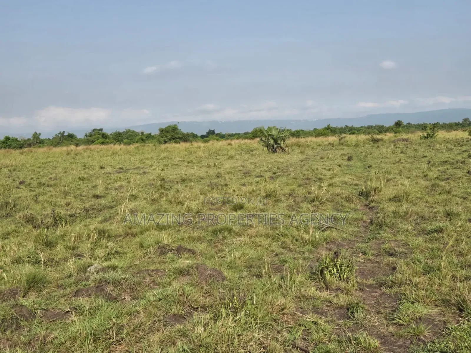 1200 Acres of Land at Asutuare