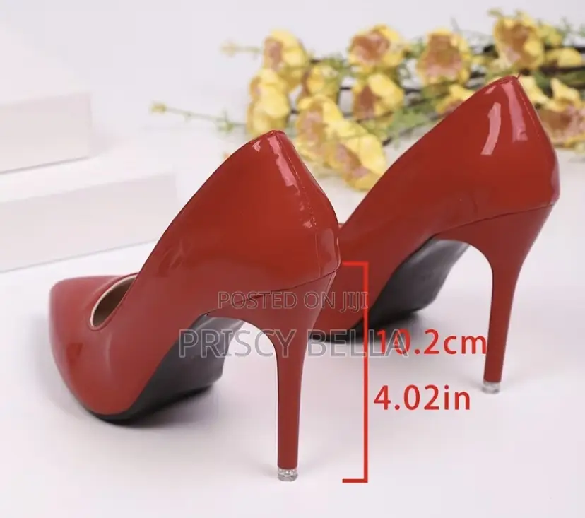Pointed Toe Stiletto Heels- Women Shoes