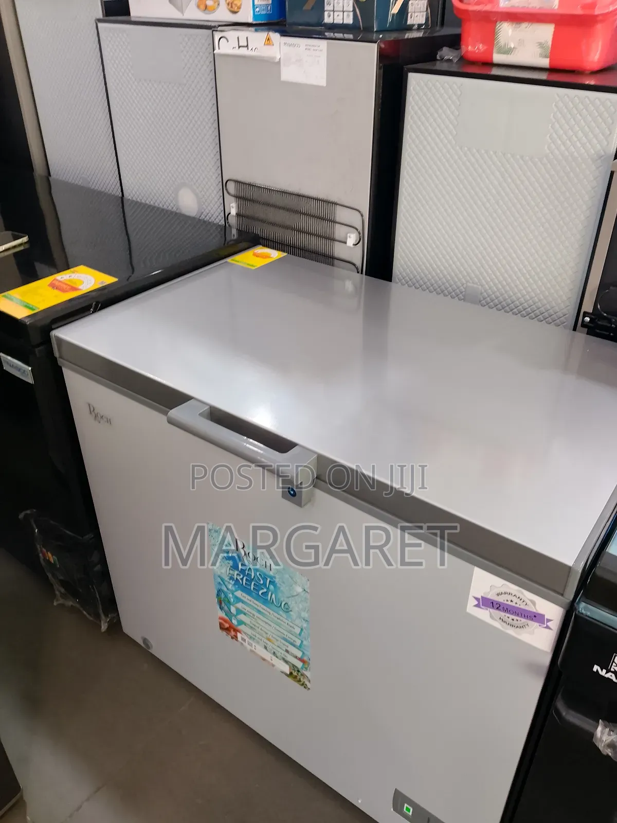 251 Litters Roch Chest Freezer With Powerful Compressor